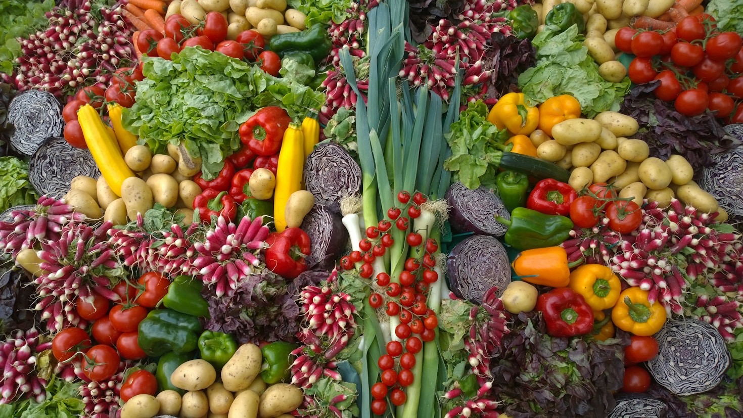 Saisonale Ernährung leicht gemacht im Alltag